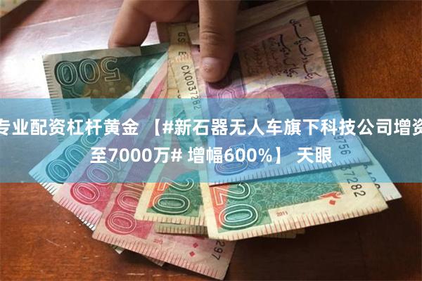 专业配资杠杆黄金 【#新石器无人车旗下科技公司增资至7000万# 增幅600%】 天眼