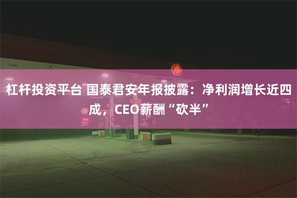 杠杆投资平台 国泰君安年报披露：净利润增长近四成，CEO薪酬“砍半”