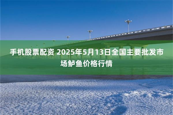 手机股票配资 2025年5月13日全国主要批发市场鲈鱼价格行情