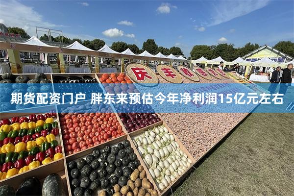 期货配资门户 胖东来预估今年净利润15亿元左右