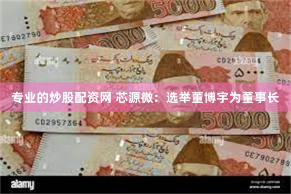 专业的炒股配资网 芯源微：选举董博宇为董事长