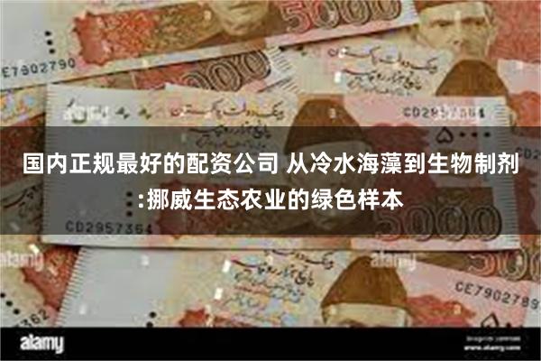 国内正规最好的配资公司 从冷水海藻到生物制剂:挪威生态农业的绿色样本